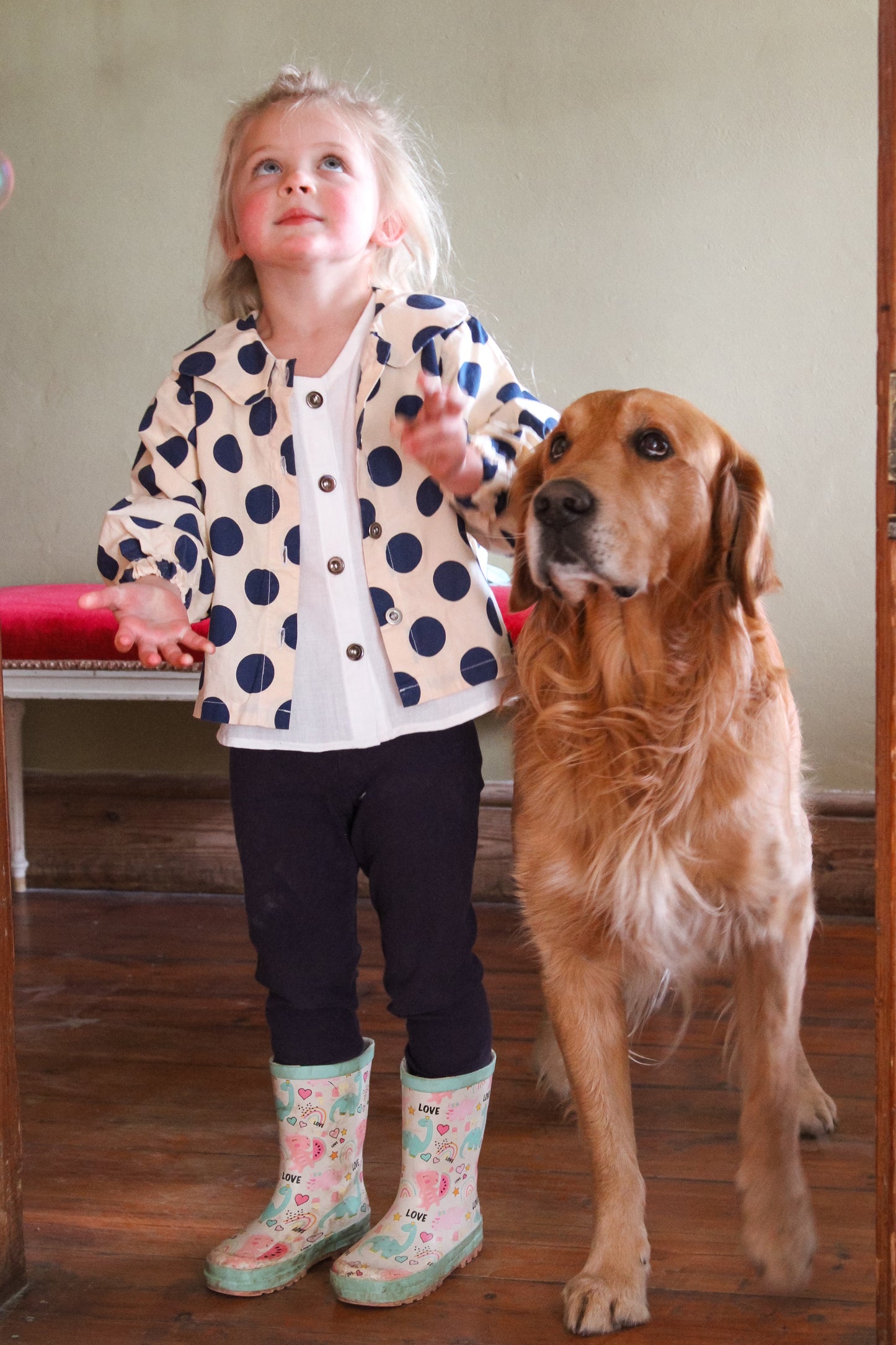 Catherine Jacket (Polka)