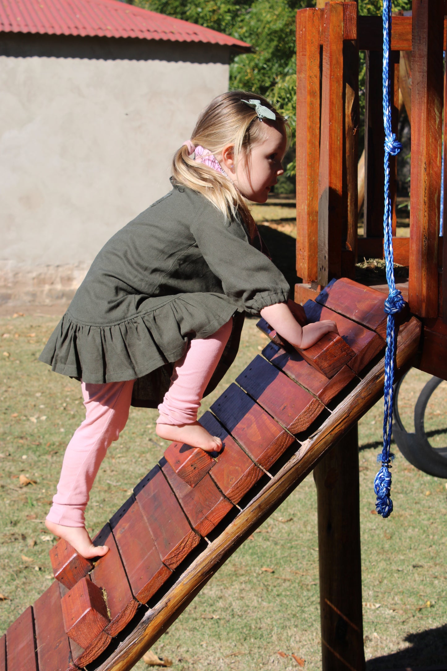 Casey Dress (Long Sleeve)